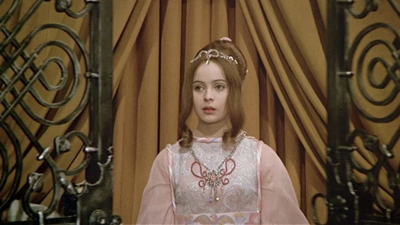 Three Wishes for Cinderella screenshot 6