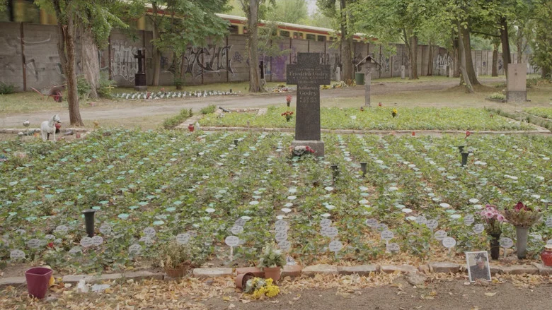 Going Alone screenshot 1
