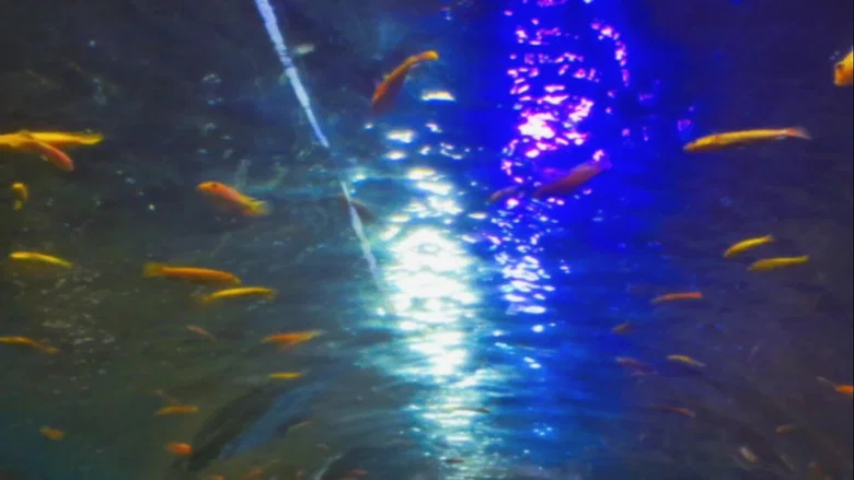 Silent Breaths Beneath Electric Glow screenshot 3