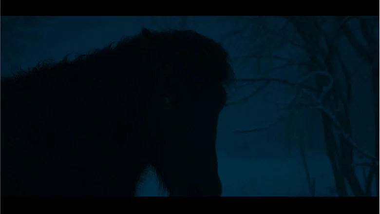 Kosmos screenshot 1