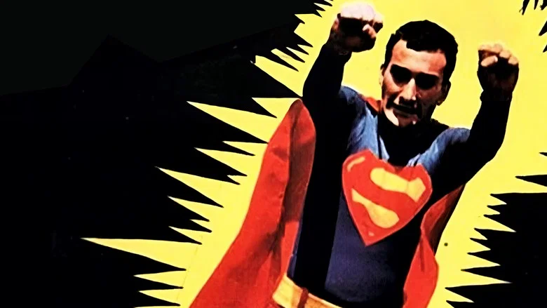 The Return of Superman screenshot 1