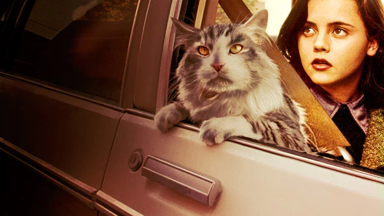 That Darn Cat screenshot 2