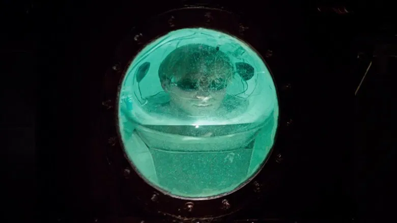 Altered States screenshot 1