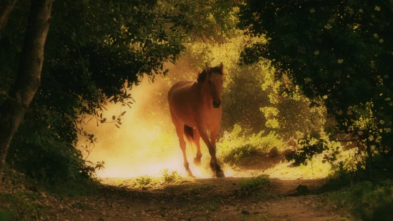 American Mustang screenshot 3