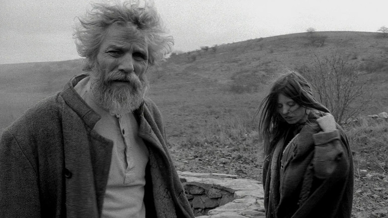 The Turin Horse screenshot 4