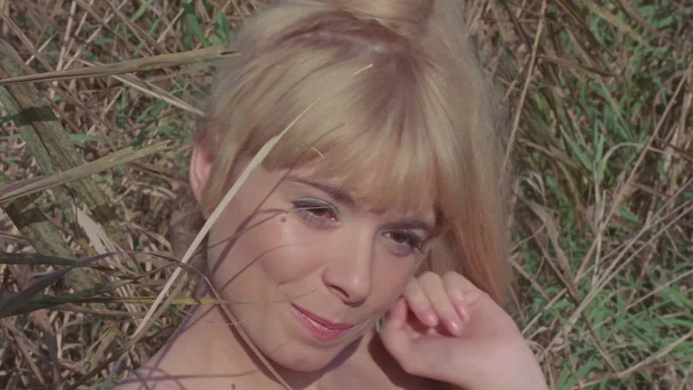 The Sex Adventures of the Three Musketeers screenshot 2