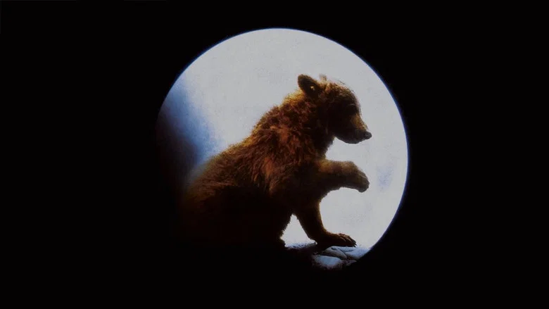 The Bear screenshot 8