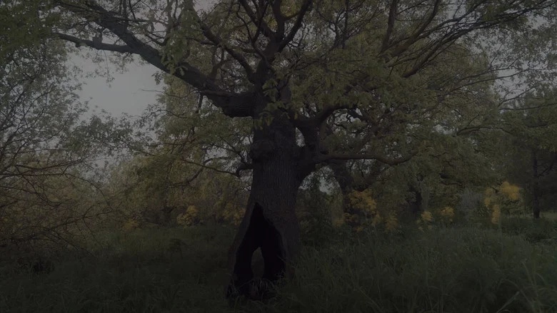 Shelter screenshot 1