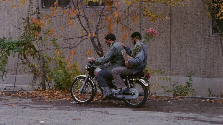 Close-Up screenshot 3