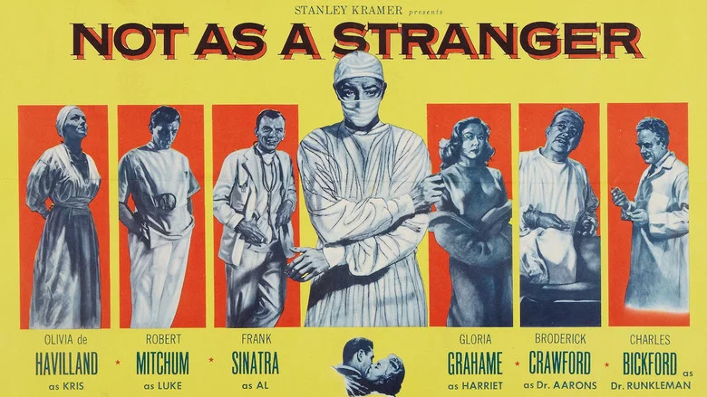 Not as a Stranger screenshot 2