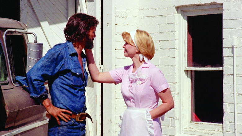 Alice Doesn't Live Here Anymore screenshot 1