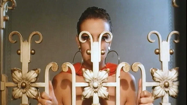 Matador screenshot 7