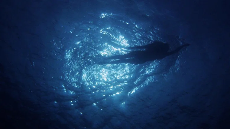Jaws, a Monstrous Success screenshot 1