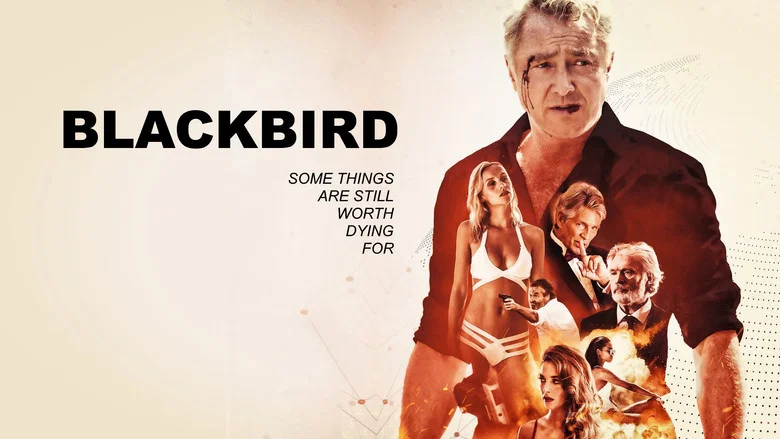 Blackbird screenshot 7