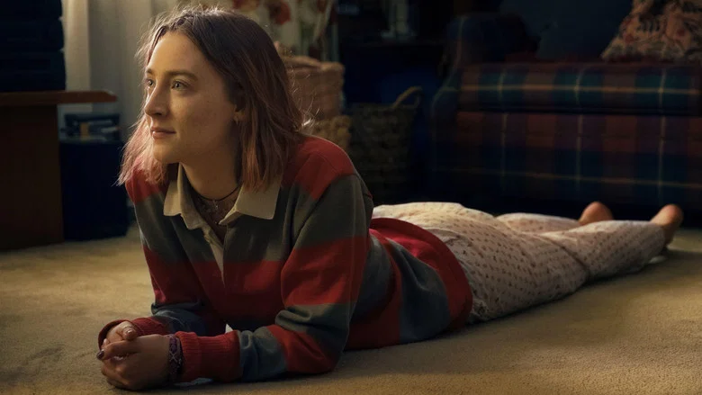 Lady Bird screenshot 5