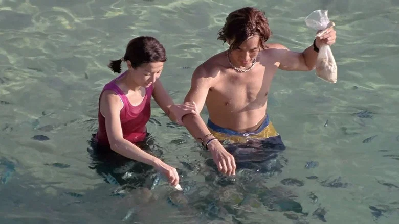 Summer Holiday screenshot 1