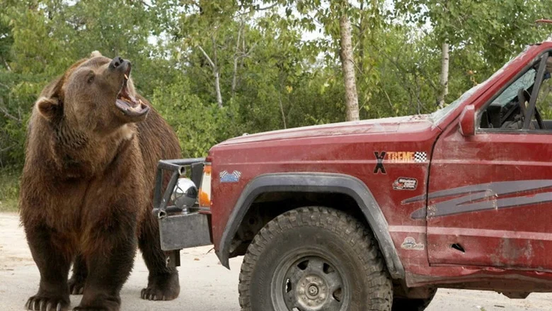Grizzly Rage screenshot 2