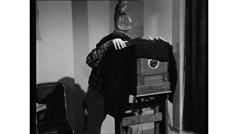 Jack of All Trades, Master of None screenshot 3