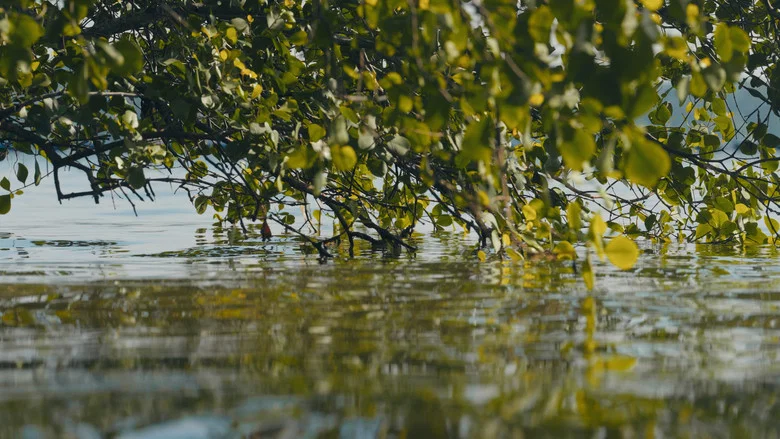 seaward screenshot 2