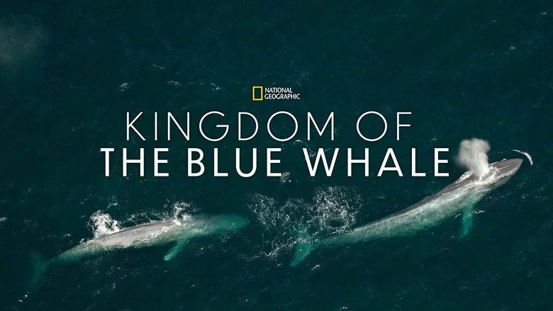 Kingdom of the Blue Whale screenshot 1