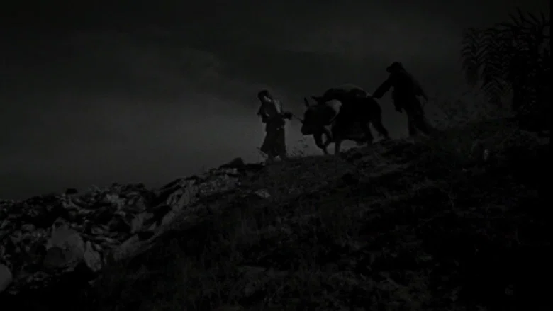 The Young and the Damned screenshot 1