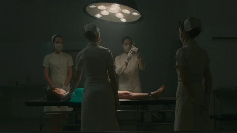 Evolution screenshot 4