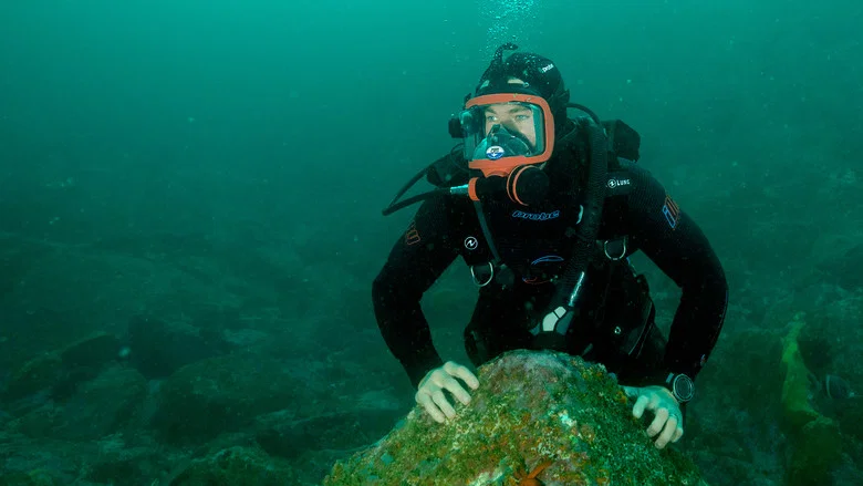 Shark Beach with Chris Hemsworth screenshot 8