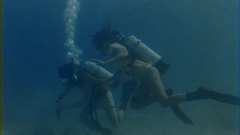 Barracuda screenshot 3