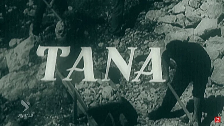 Tana screenshot 1