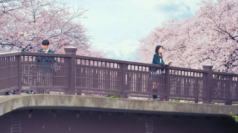 Let Me Eat Your Pancreas screenshot 2