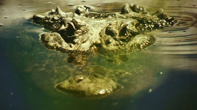Gatorville screenshot 1