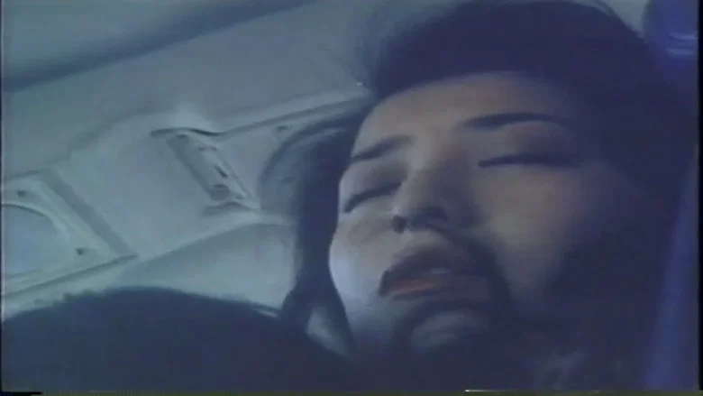 Monzetsu hikô: Nikushin screenshot 8