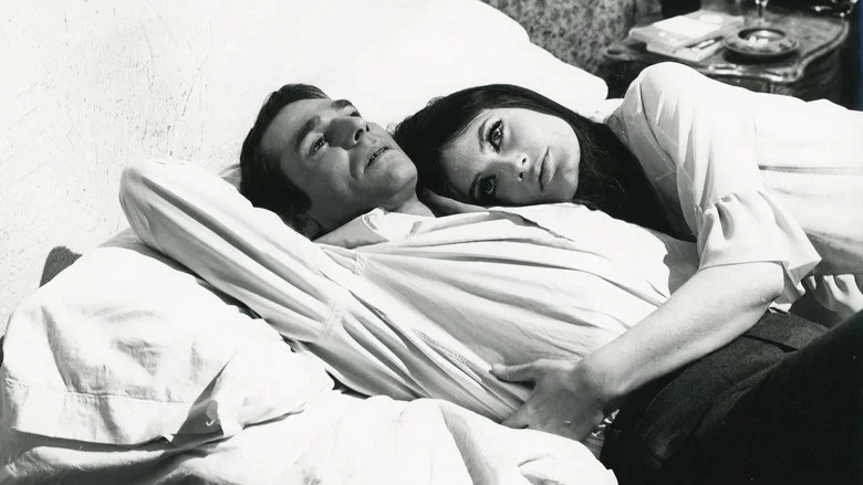 Versatile Lovers screenshot 1
