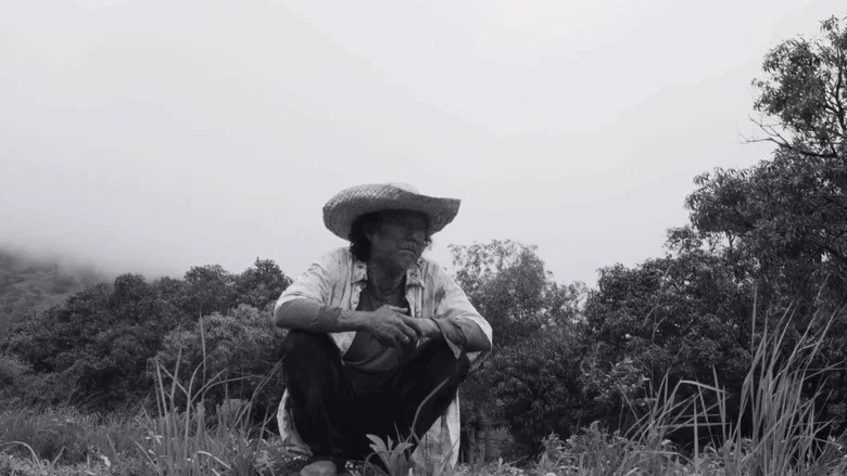 From What Is Before screenshot 4