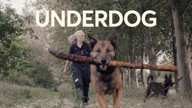 Underdog screenshot 3