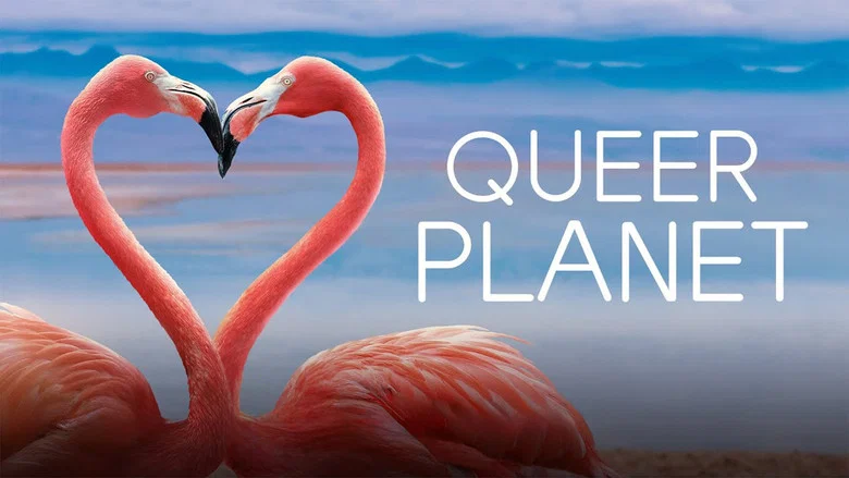 Queer Planet screenshot 3