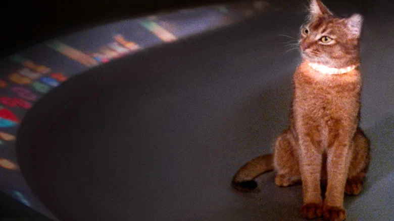 The Cat from Outer Space screenshot 6