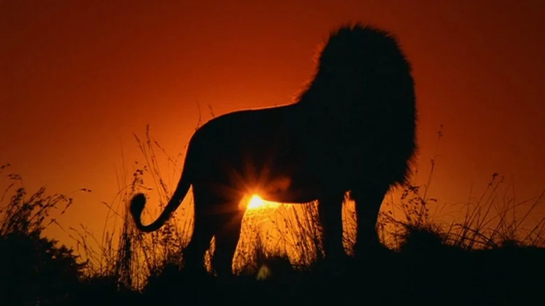 The Lion screenshot 2
