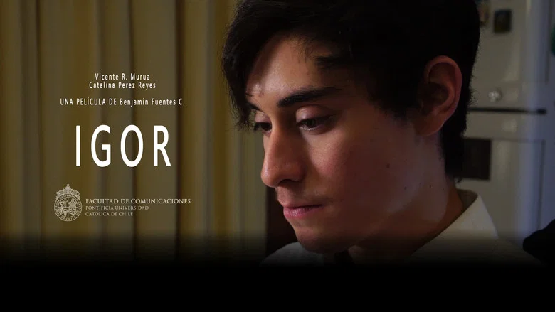 Igor screenshot 2