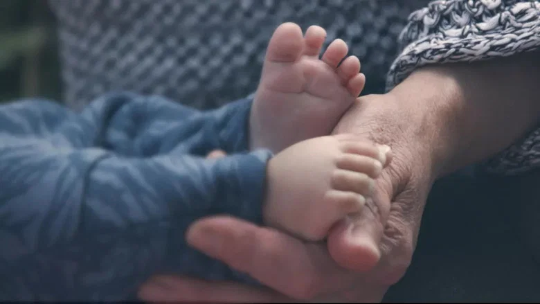 Bébés placés, la vie devant eux screenshot 5