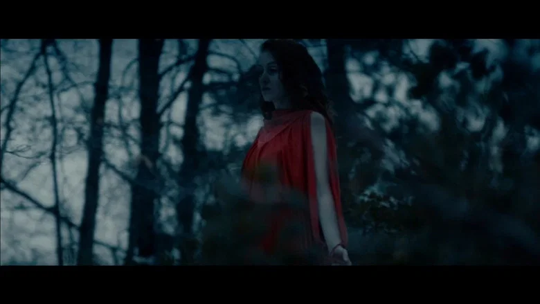 Into the Night screenshot 6