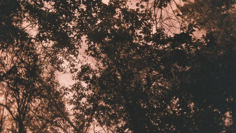 Palindrome screenshot 1