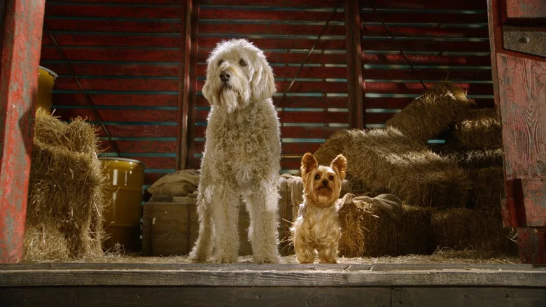 Pup Star screenshot 1