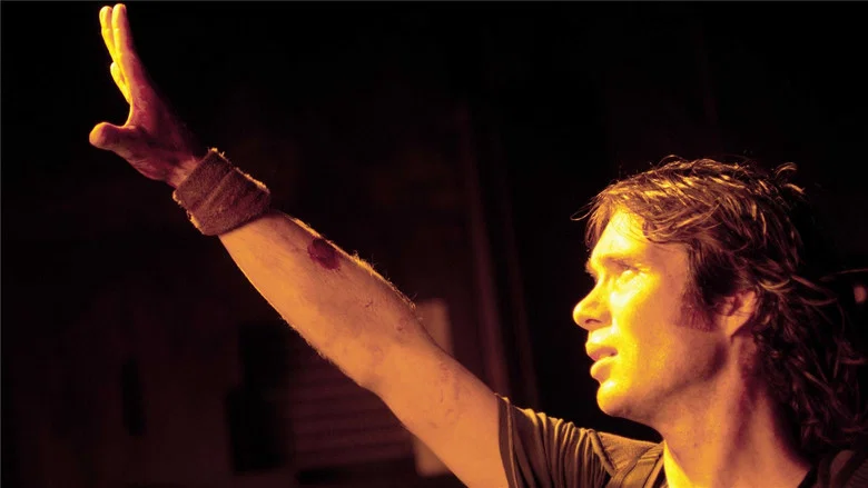 Sunshine screenshot 8