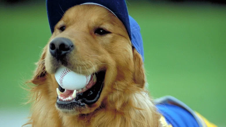 Air Bud: Seventh Inning Fetch screenshot 5