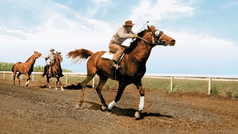 The Story of Seabiscuit screenshot 4