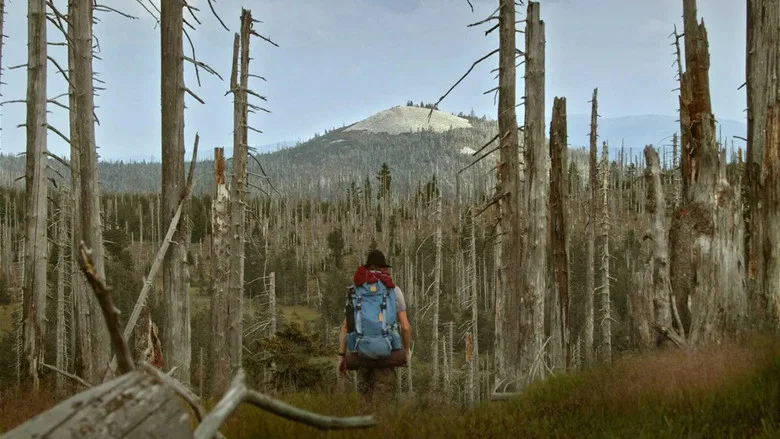 The Wild Forest screenshot 5