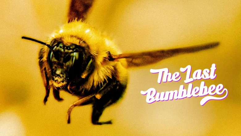 The Last Bumblebee screenshot 2