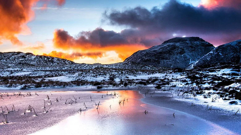 The Lake District: A Wild Year screenshot 1