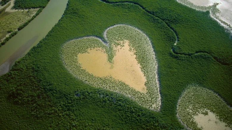 Nature: The Call for Reconciliation screenshot 7